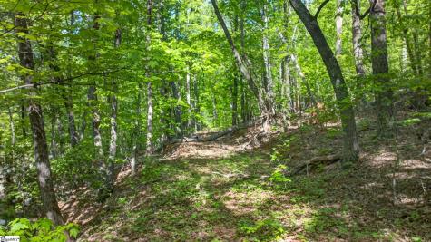 0 Goodwin Bridge Road Travelers Rest SC 29690