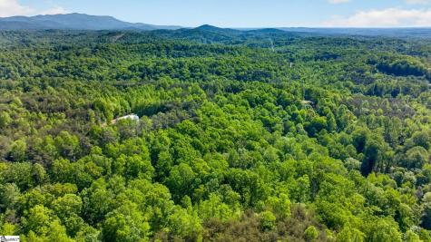 0 Goodwin Bridge Road Travelers Rest SC 29690