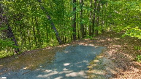 0 Goodwin Bridge Road Travelers Rest SC 29690