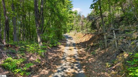 0 Goodwin Bridge Road Travelers Rest SC 29690