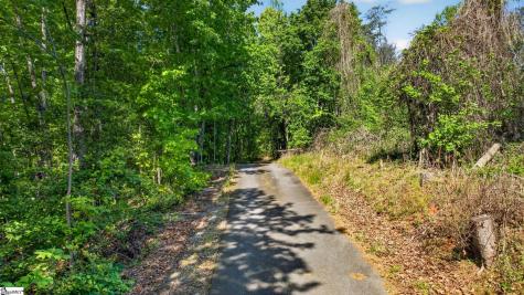 0 Goodwin Bridge Road Travelers Rest SC 29690