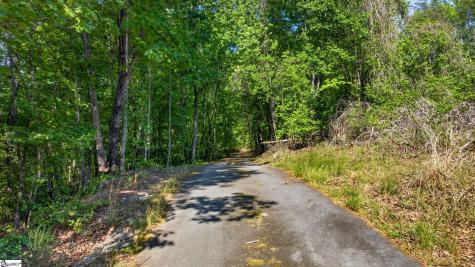 0 Goodwin Bridge Road Travelers Rest SC 29690