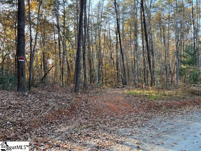 Tbd Shady Lane Mill Spring NC 28756