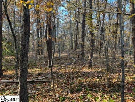 Tbd Shady Lane Mill Spring NC 28756