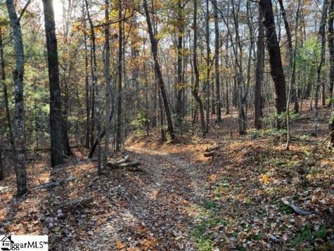 Tbd Shady Lane Mill Spring NC 28756
