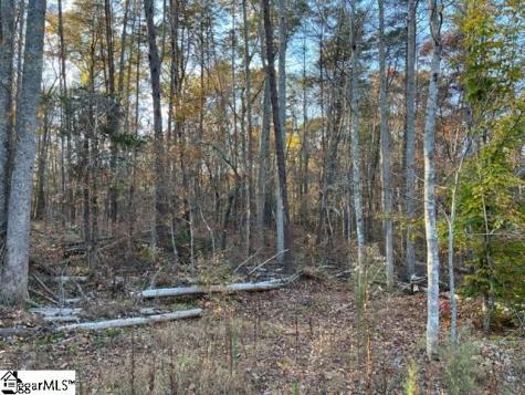 Tbd Shady Lane Mill Spring NC 28756