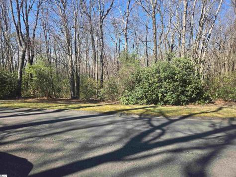 319 Cliff Ridge Drive Cleveland SC 29635