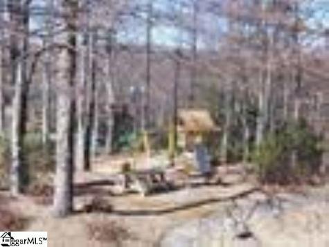 319 Cliff Ridge Drive Cleveland SC 29635