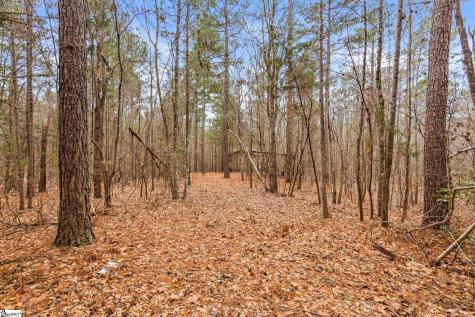 839 Duncan Creek Church Road Laurens SC 29360