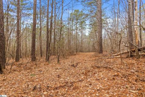 839 Duncan Creek Church Road Laurens SC 29360