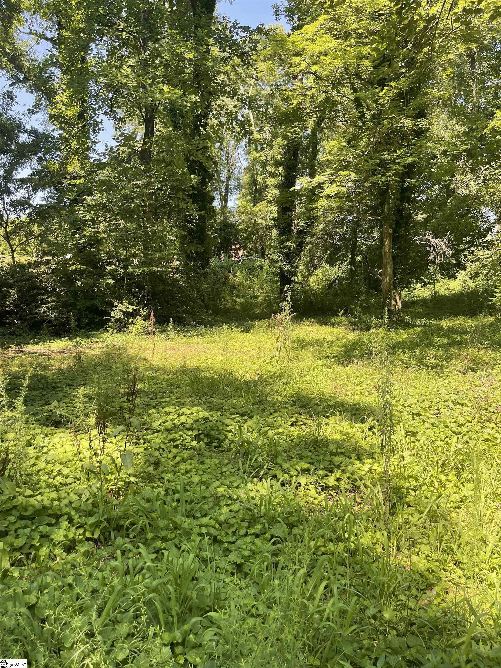 151 Coldstream Drive Boiling Springs SC 29316