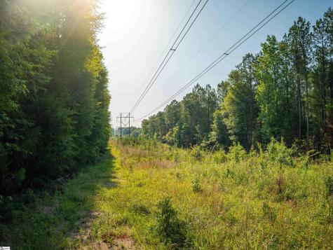 1332 Arnold Lane Waterloo SC 29384
