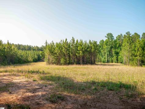 1332 Arnold Lane Waterloo SC 29384