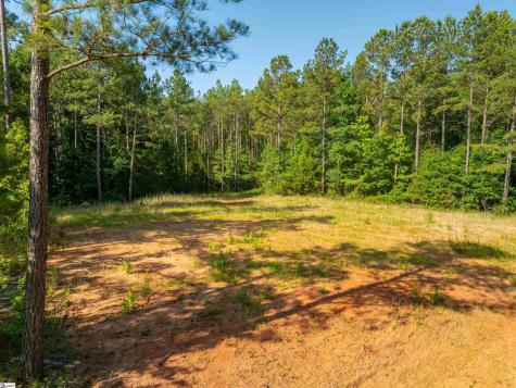 1332 Arnold Lane Waterloo SC 29384