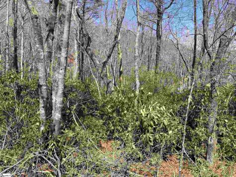 12 Blazing Star Trail Landrum SC 29356
