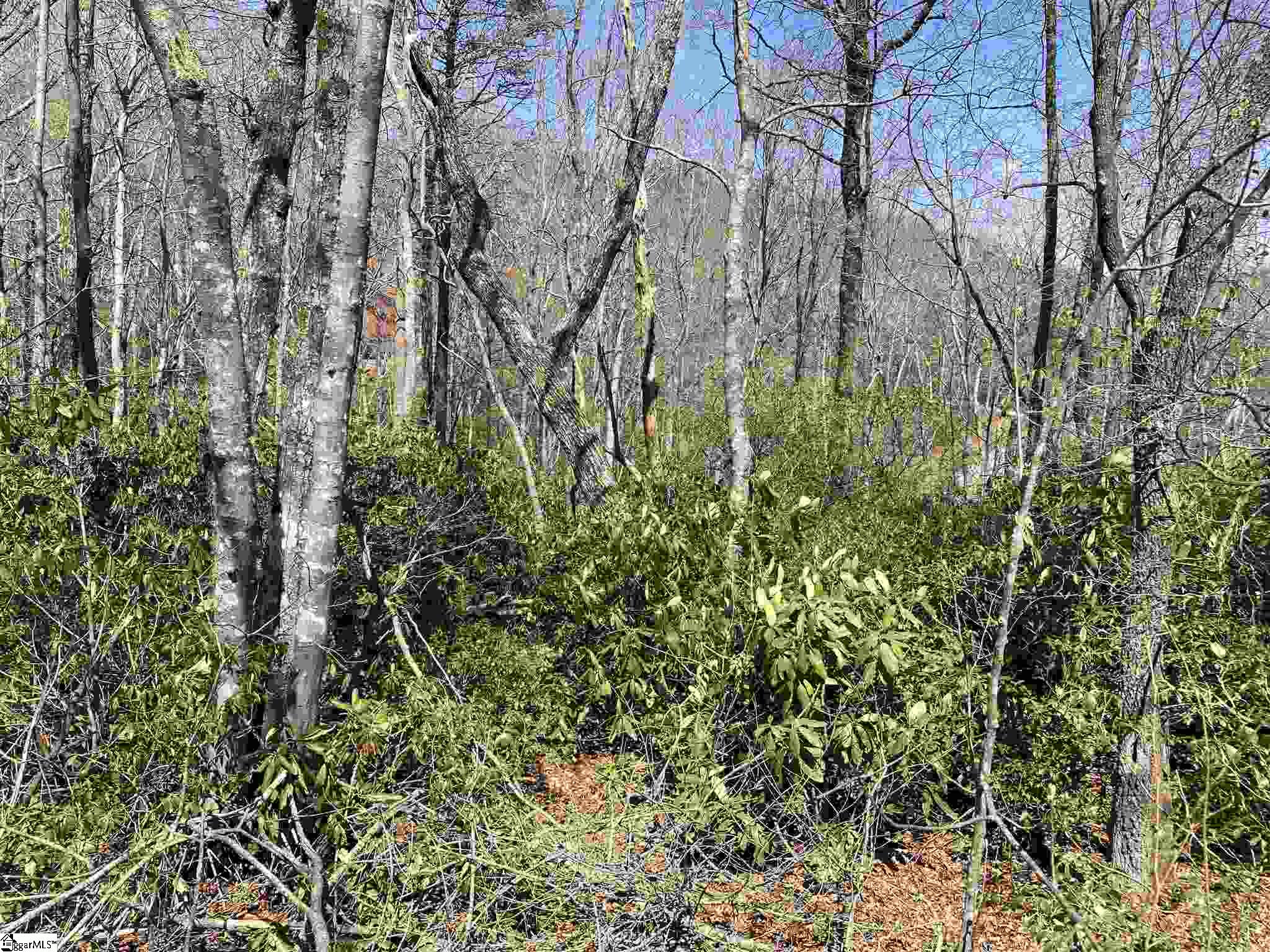 12 Blazing Star Trail Landrum SC 29356