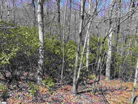 12 Blazing Star Trail Landrum SC 29356