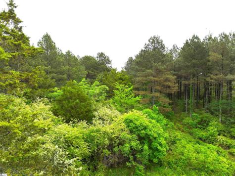 3170 Highway 20 Donalds SC 29638
