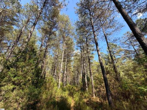3170 Highway 20 Donalds SC 29638