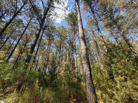 3170 Highway 20 Donalds SC 29638