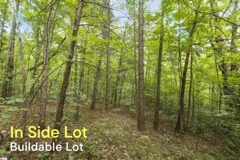 00 Foxboro Road Travelers Rest SC 29690