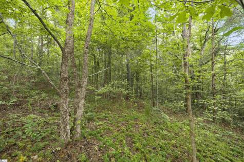 00 Foxboro Road Travelers Rest SC 29690