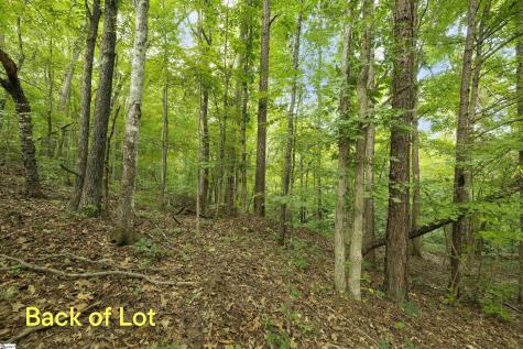 00 Foxboro Road Travelers Rest SC 29690