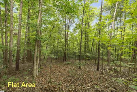 00 Foxboro Road Travelers Rest SC 29690
