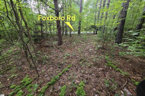 00 Foxboro Road Travelers Rest SC 29690