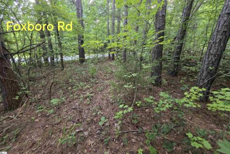 00 Foxboro Road Travelers Rest SC 29690