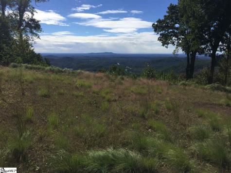 1511 Panther Park Trail Travelers Rest SC 29690
