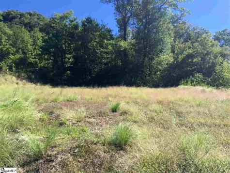 1511 Panther Park Trail Travelers Rest SC 29690