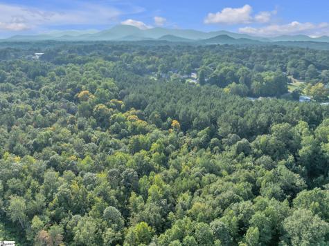 0 S Bomar Avenue Landrum SC 29356