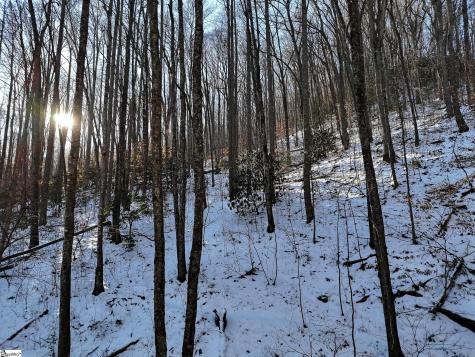 00 Bettys Creek Road Franklin NC 28779