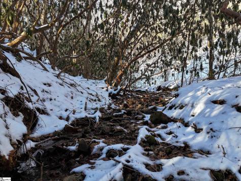 00 Bettys Creek Road Franklin NC 28779