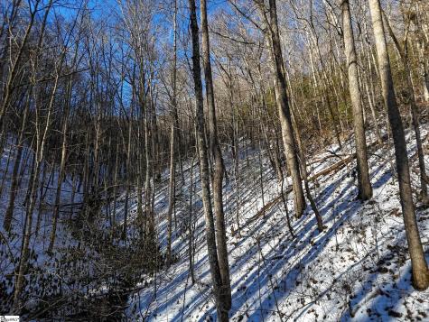 00 Bettys Creek Road Franklin NC 28779