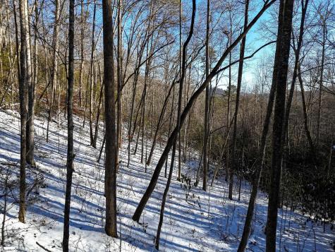 00 Bettys Creek Road Franklin NC 28779
