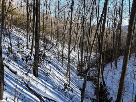 00 Bettys Creek Road Franklin NC 28779