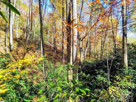 00 Bettys Creek Road Franklin NC 28779