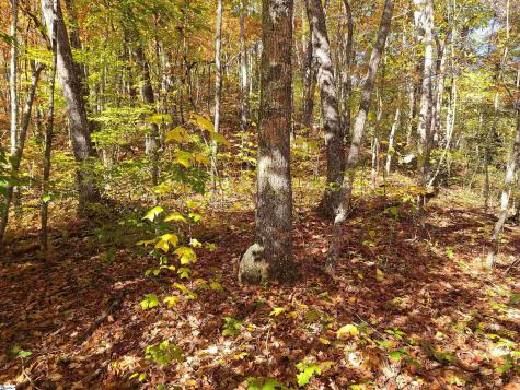 00 Bettys Creek Road Franklin NC 28779