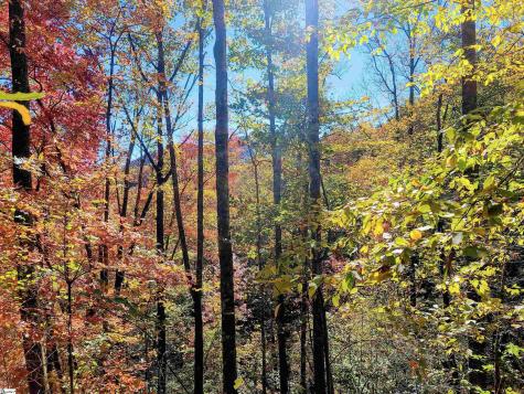 00 Bettys Creek Road Franklin NC 28779