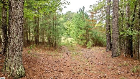 River Park Lane Mill Spring NC 28756