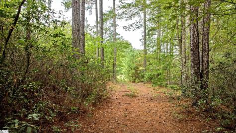 River Park Lane Mill Spring NC 28756