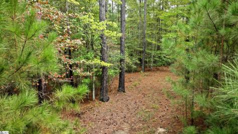 River Park Lane Mill Spring NC 28756
