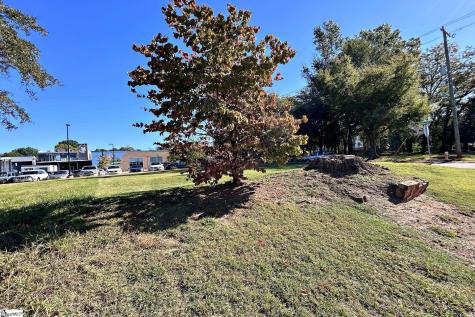 301 Oscar Street Greenville SC 29601