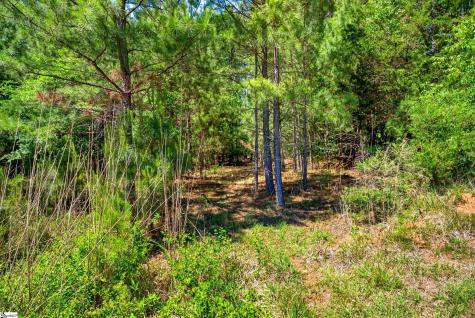 0 Gowdeysville Road Gaffney SC 29340