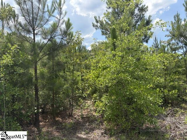 Charlie Rast Road Swansea SC 29160