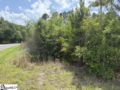 Charlie Rast Road Swansea SC 29160