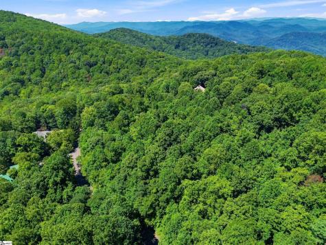 164 Catnip Trail Landrum SC 29356