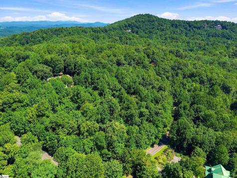 164 Catnip Trail Landrum SC 29356